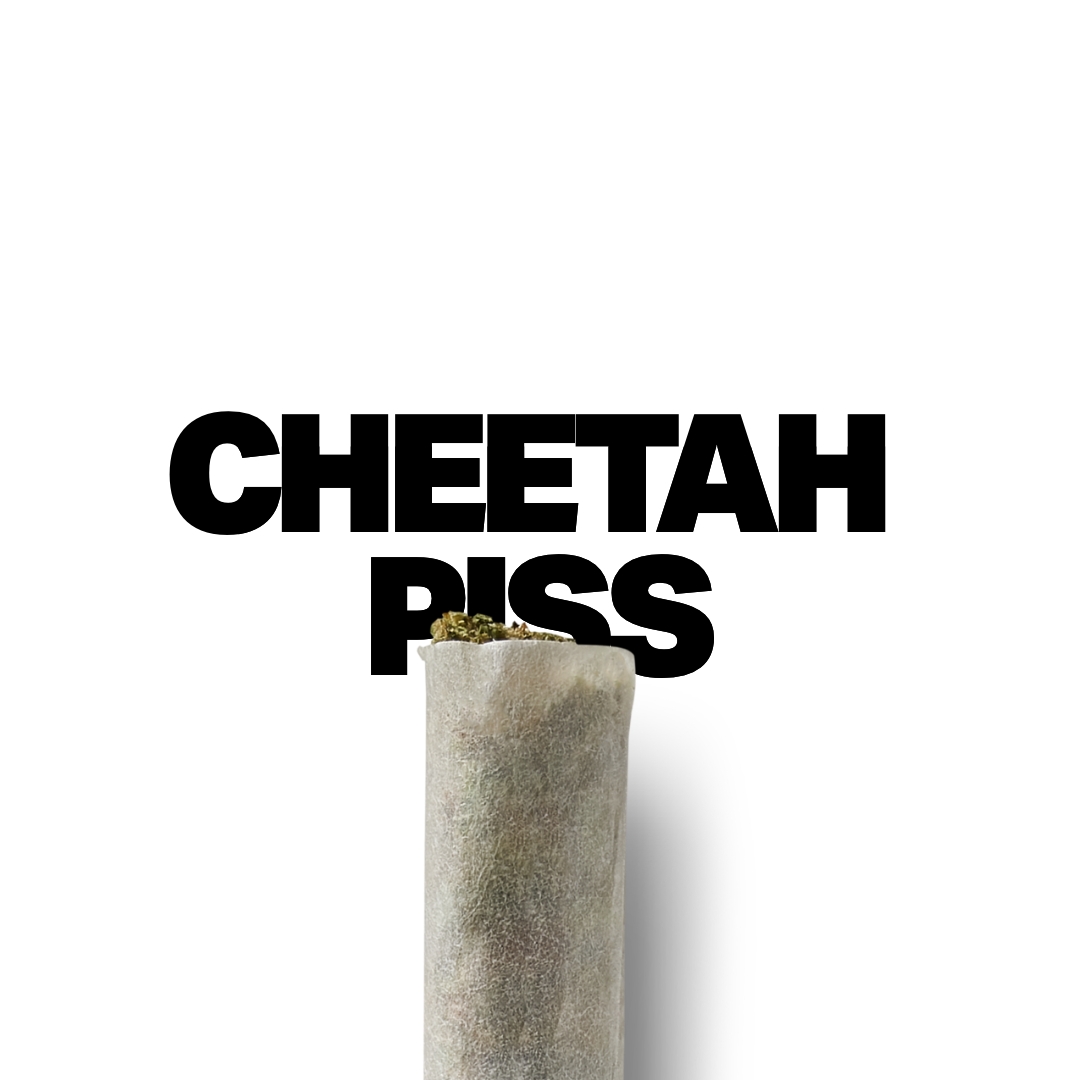 A gallery image for THCa Flower Pre Rolls